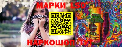 стафф Донской