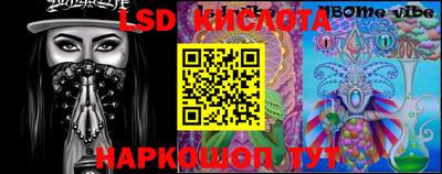 стафф Донской