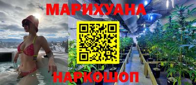 стафф Донской