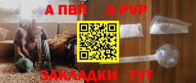 стафф Донской